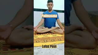 Padmasana Yoga l Lotus Pose l How to do Lotus Pose l Yoga for Calms the Brain l Daily Yoga l [upl. by Krilov]