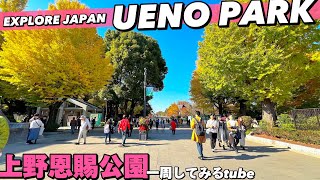 🌿【4K】上野恩賜公園をMAP付きでぐるっとご案内！動物園•美術館•博物館のある都市公園【散歩上野動物園上野駅】Guide tour of UENO ParkJAPAN Travel東京観光 [upl. by Abbotsen93]