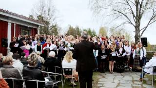 Siste skoledag på Elverum folkehøgskole 20112012  Kringsatt av fiender [upl. by Lleirbag186]