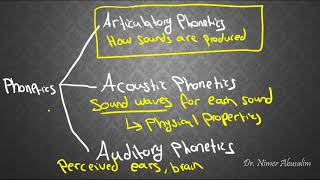 PHONETICS4 Articulatory Phonetics amp Voicing [upl. by Helas]