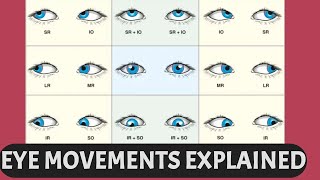 EYE MOVEMENTS EXPLAINED  Ductions versions vergence six cardinal gaze positions [upl. by Lyle]