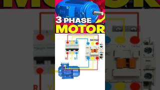 3 Phase Direct On Line Starter Power Wiring Connection dolstarter powerwiring shorts ytshorts [upl. by Nod]