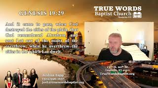 KJV Bible Reading Day 81 Genesis 1920 [upl. by Akirdnahs]