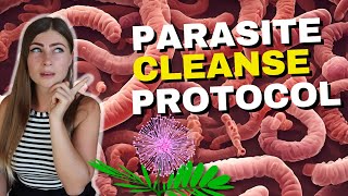 The Ultimate Parasite Cleanse Protocol 🪱 Get Rid of Parasites in the Body [upl. by Hsiwhem]