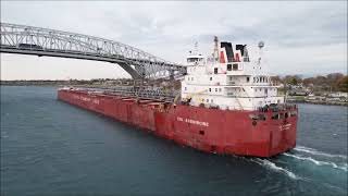 CSL ASSINIBOINE  Downbound Port Huron Michigan 1152024 [upl. by Clementina]