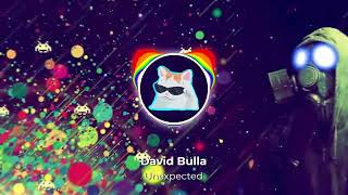 David Bulla  Unexpected [upl. by Phira]