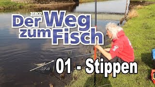 Der Weg zum Fisch  Teil 01  Stippangeln  Angeln lernen mit Jörg Ovens [upl. by Aneehsyt]