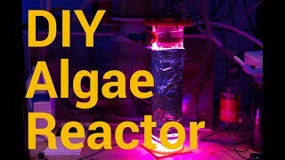 Making a DIY Algae Reactor 25 more effective [upl. by Auqinihs]