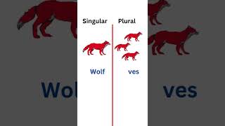 singular and plural english [upl. by Aicel]