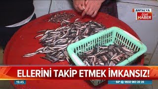 Hamsi ayıklama rekoru 1dk 54sn  Atv Haber 4 Ocak 2019 [upl. by Jilli]