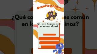 desafío gatuno🐱 parte2 [upl. by Sices]