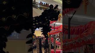 Xuan Long Dragon And Lion Dance Rawang Selangor [upl. by Oralee487]