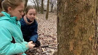 Maple Tapping Basics  Environmental Education Program [upl. by Highams]