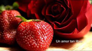 A Love so Beautiful  Michael Bolton Subtitulo Español ❤ [upl. by Anear]