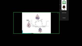 NSA Residents tutorial Capnography [upl. by Kelleher]