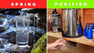 Purified vs Spring Water Whats the Difference and Which Is Better [upl. by Imas]