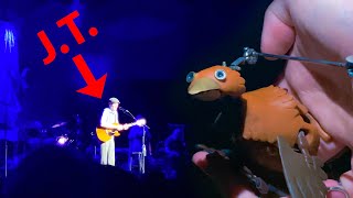 Dabchick saw James Taylor [upl. by Perdita]