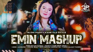 DJ KAMIN EMIN MASHUP VIRAL TIKTOK SLOW PARTY KANE  DIDIK JANGKRIK [upl. by Dnamra]