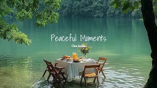 a playlist piano for peaceful moments🌱🌸 a quiet life playlist [upl. by Maier149]