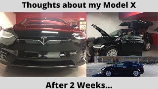 Thoughts About My Tesla Model X After 2 Weeks and 2100 Miles tesla modelx qualityissues [upl. by Fonda]