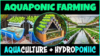 Aquaponics Integrated Vegetable and Fish Farming System  Integrated Aquaculture amp Hydroponics [upl. by Etnad435]