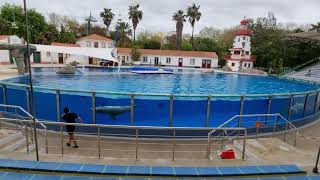 Jardim Zoológico de Lisboa Baía dos Golfinhos [upl. by Emerald]