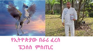 የኢትዮጵያው በራሪ ፈረስ ፔጋሰስ በሰማይ ላይ [upl. by Jeffries]