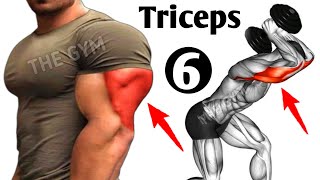 6 Best Exercises To Get Big Triceps Workout  THE GYM [upl. by Llenrev49]