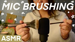 ASMR  Mic Brushing and Personal Attention ♡☽ whispers miccamera brushing [upl. by Rambow]