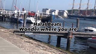 Halal Beats  Wonder where you are with bird sounds [upl. by Ylrahc]