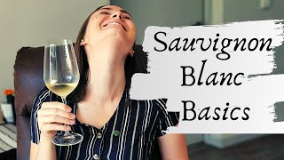 SAUVIGNON BLANC WINE What is Sauvignon Blanc Basic introduction to the regions amp characteristics [upl. by Razaile]