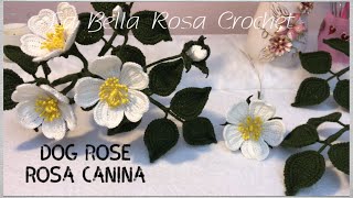 Crochet Rosa canina dog rose fleur d’eglantine كروشيه زهرة النسرين الجزء 1 [upl. by Yatnod]