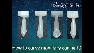 How to carve maxillary canine easily [upl. by Attelocin973]