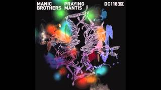 Manic Brothers  Hidden History Original Mix [upl. by Suki759]