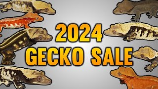 2024 Spring Crested Gecko Sale Preview [upl. by Accissej87]