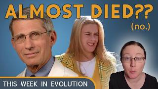 Science News How Fauci and Alicia Silverstone almost died [upl. by Keelby]