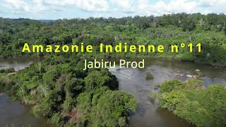 Amazonie Indienne n°11 [upl. by Carmon206]