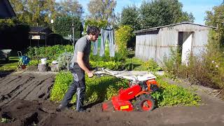 ⚙️ Einachser mit Gartenfräse im Einsatz  Rasen neu anlegen [upl. by Rekyr]