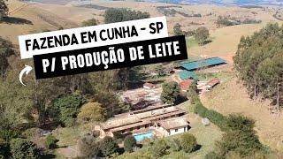 FAZENDA EM CUNHA  SP PARA PRODUÇÃO DE LEITE [upl. by Tonl]