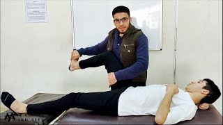 The Lower Limb PNF Techniques – Proprioceptive Neuromuscular Facilitation PNF [upl. by Paynter]