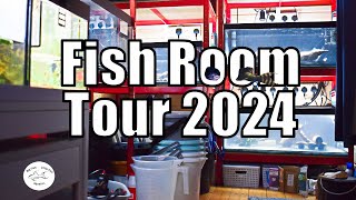 Fish Room Tour 2024  Big Fish Little Fish Aquatics [upl. by Brendan207]