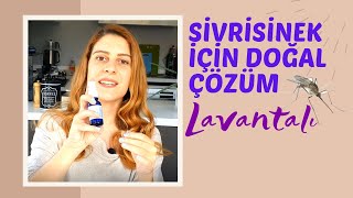 LAVANTALI SİNEK KOVAR Nasıl Yapılır  DIY 3 [upl. by Idoc]