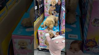 Encontramos un perrito que parece real 😱😳 vlogdeldia mividadiaria minivlog momlife [upl. by Par]