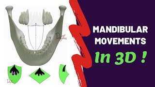 Mandibular Movements in 3D  SUPER EASY [upl. by Aylsworth]