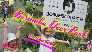 Borumba Deer Park Camping and The Borumba Dam [upl. by Ursa]