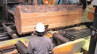 Extreme Biggest Wood Sawmill Machine Working Fast Chainsaw Wood Cutting Machine Modern [upl. by Aurie769]