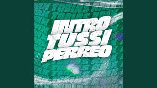 INTRO TUSSI PERREO Agus Rmx Remix [upl. by Ahcsrop]