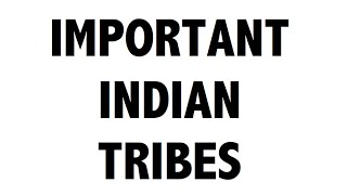 Important Tribes of India  Static General Knowledge [upl. by Garrard]