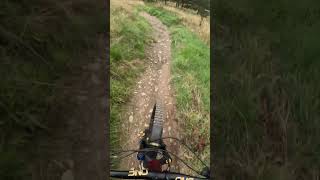 Smells Like Tweed Spirit Glentress MTB Trail Part 4 [upl. by Eilyah]