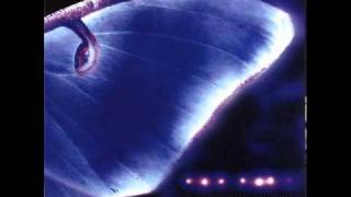 Jon Hopkins  Luna Moth [upl. by Ajak]